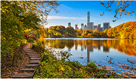 iStock-625880064
